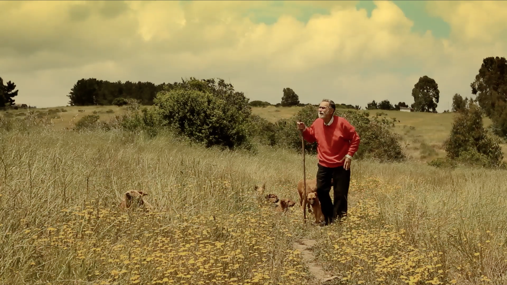 La Última Escena (The Final Scene)