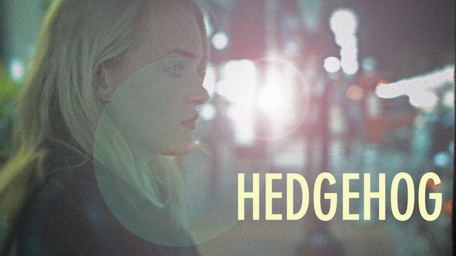 Hedgehog Trailer 