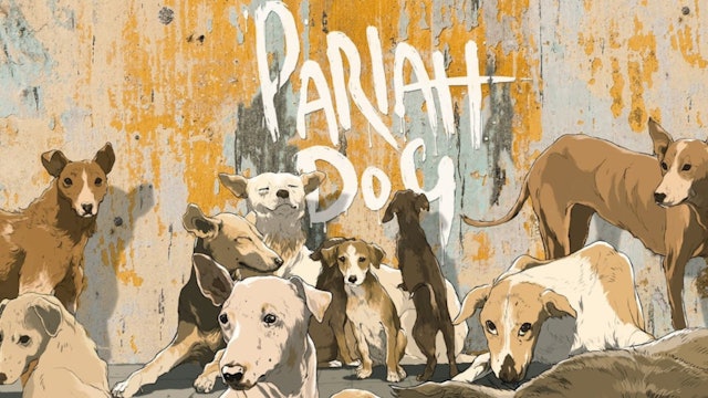 Pariah Dog