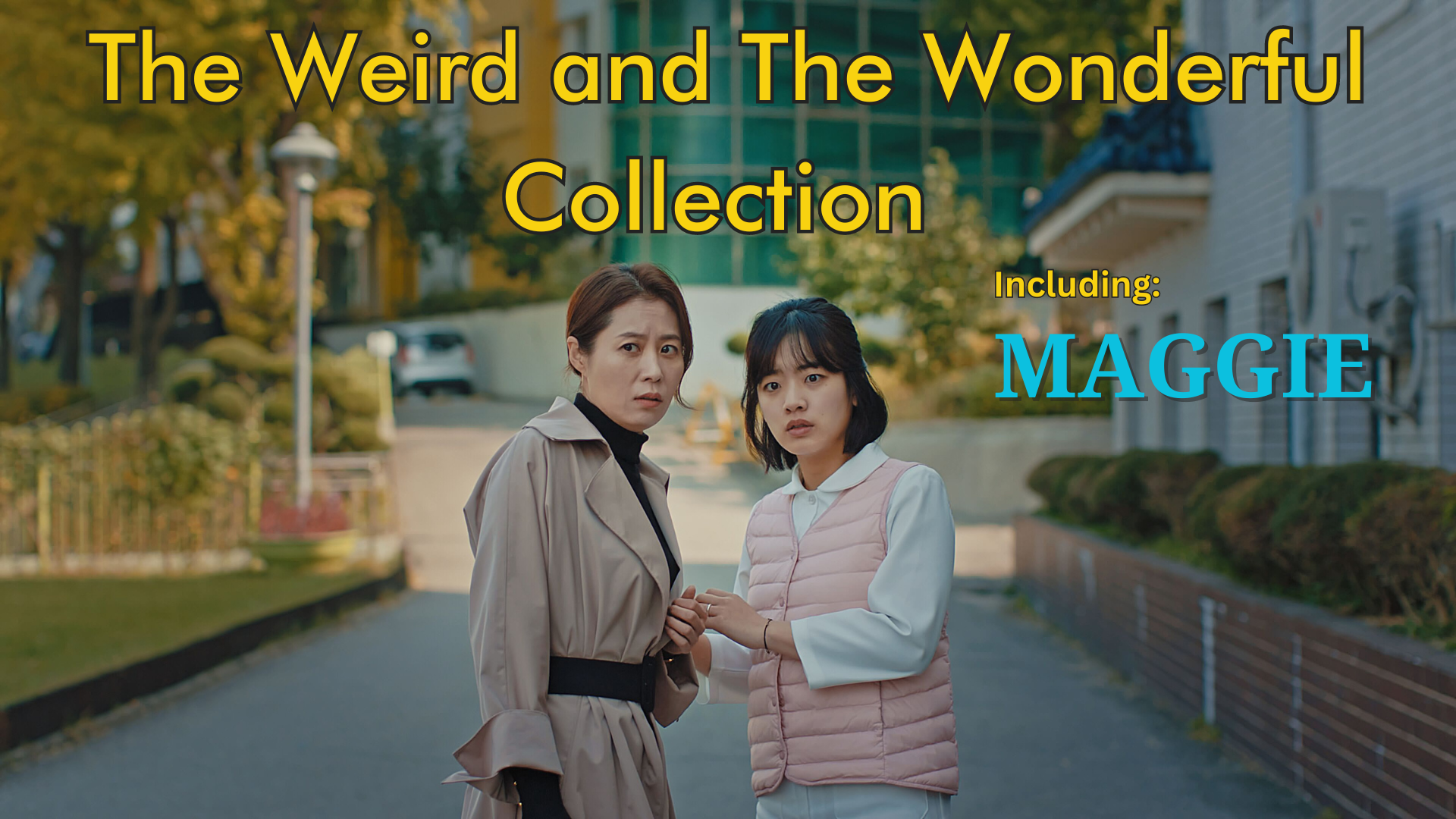 The Weird and The Wonderful