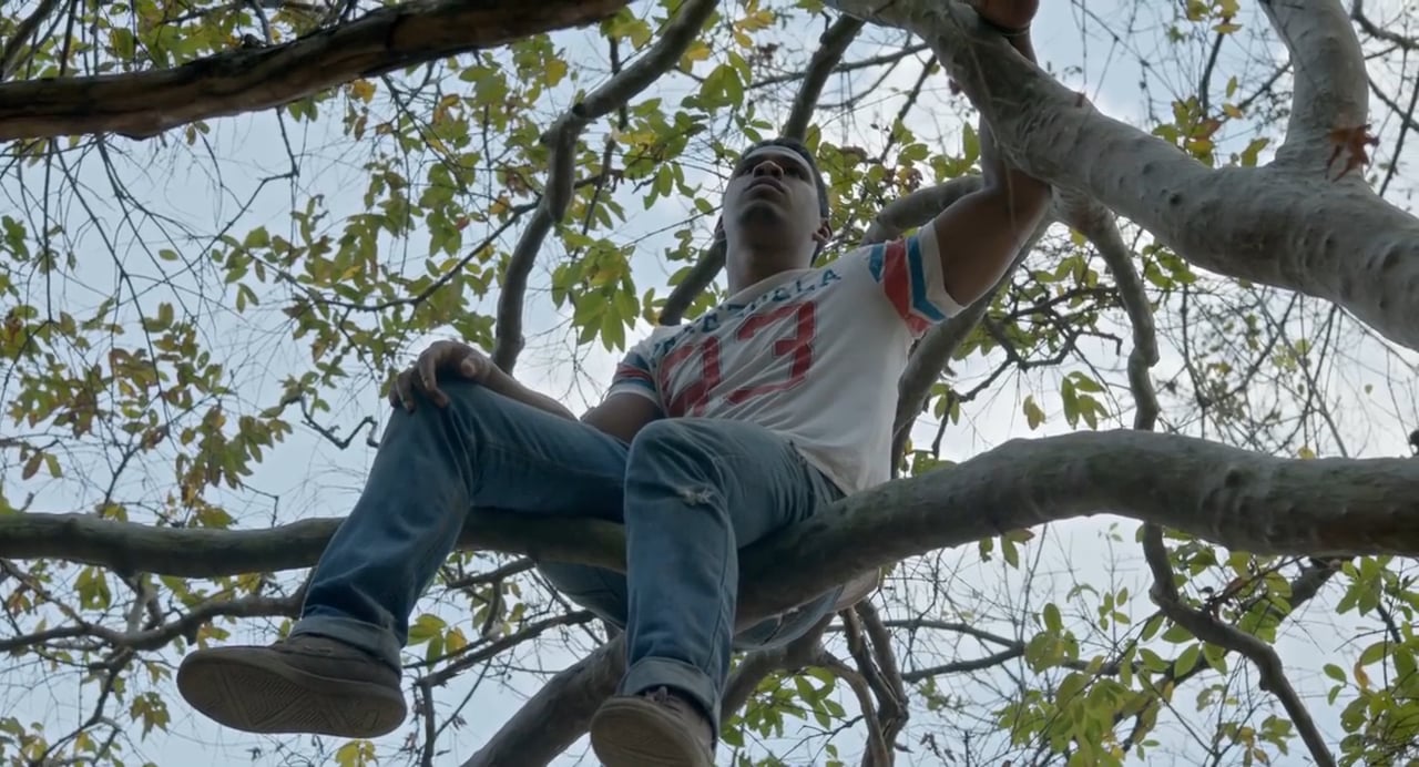 Watch La Soledad Trailer