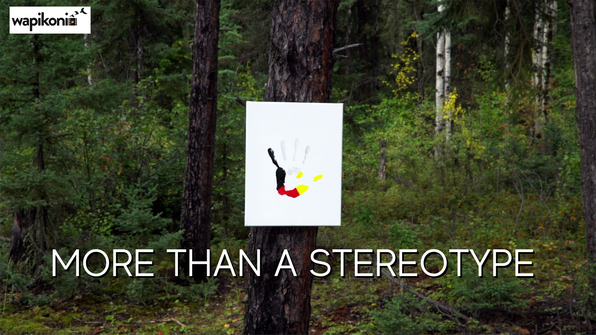 More Than a Stereotype