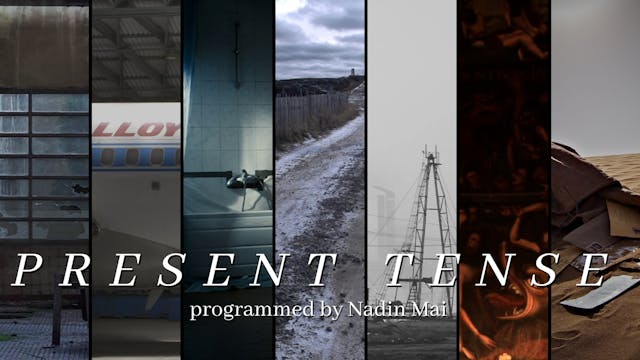 Nadin Mai introduces Present Tense