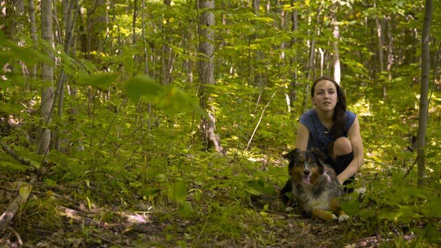 The Other Side of Porcupine Lake Trailer