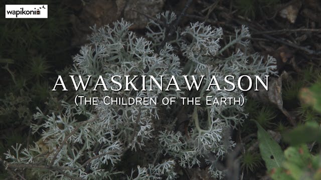 Awaskinawason (The Children of the Ea...