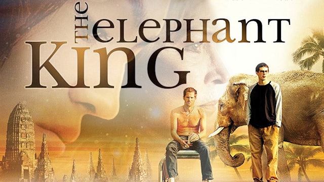 The Elephant King