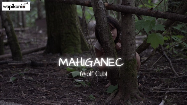Mahiganiec (Wolf Cub)
