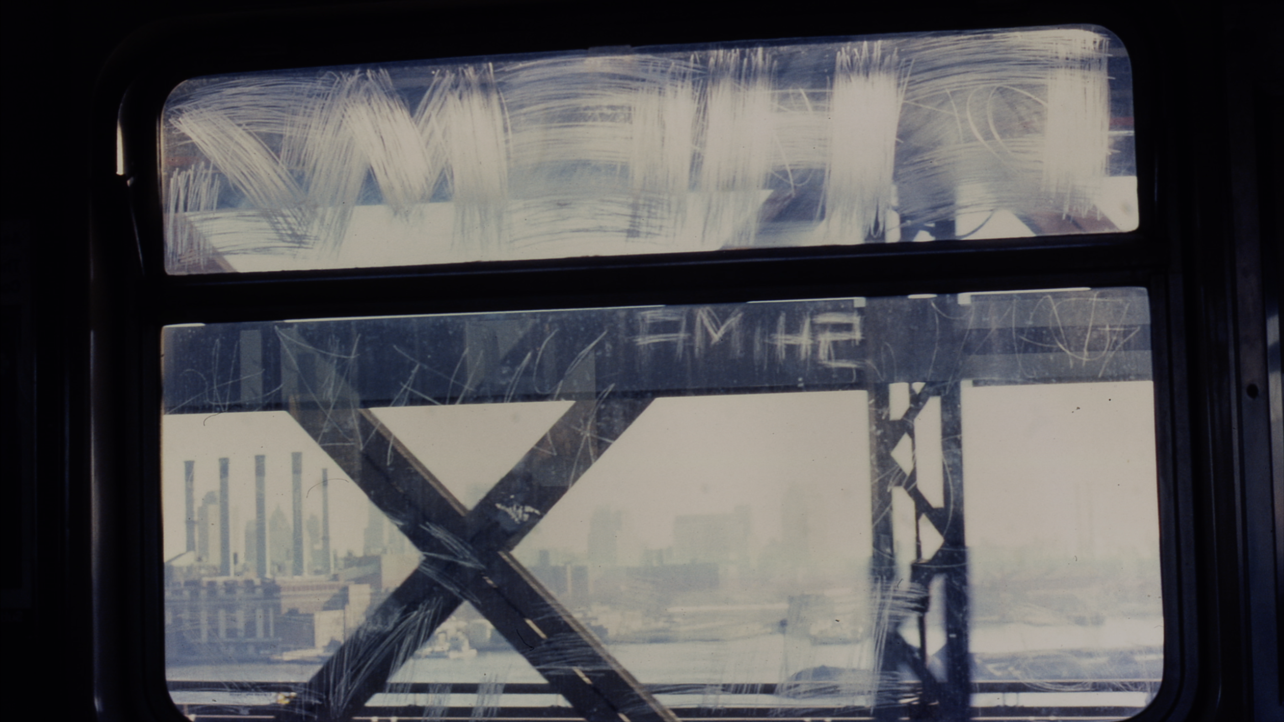 While We Are Here Trailer