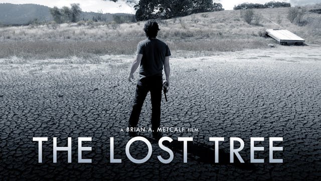 The Lost Tree
