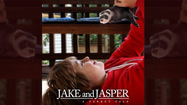 Jake & Japser: A Ferret Tale