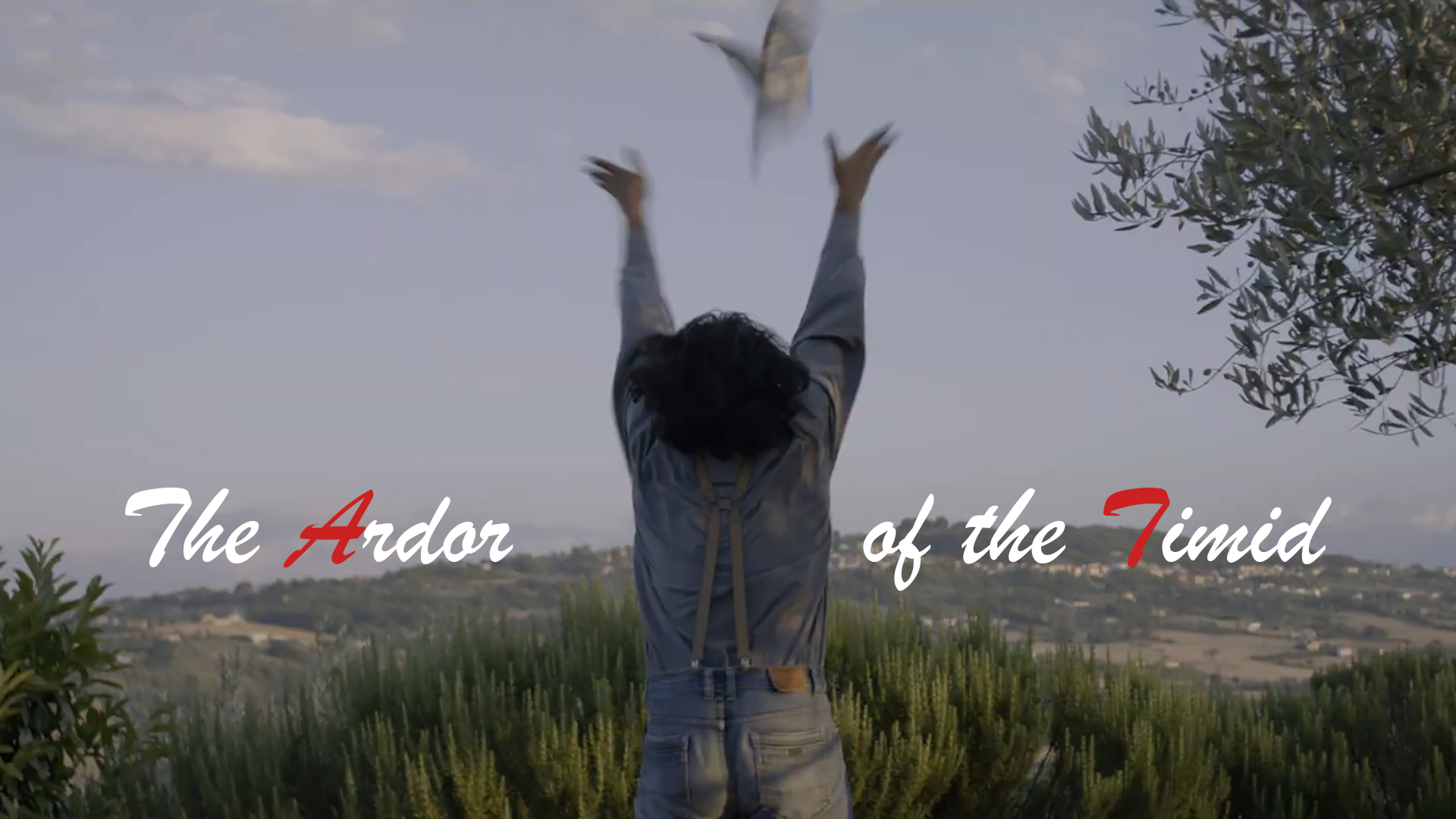 The Ardor of the Timid