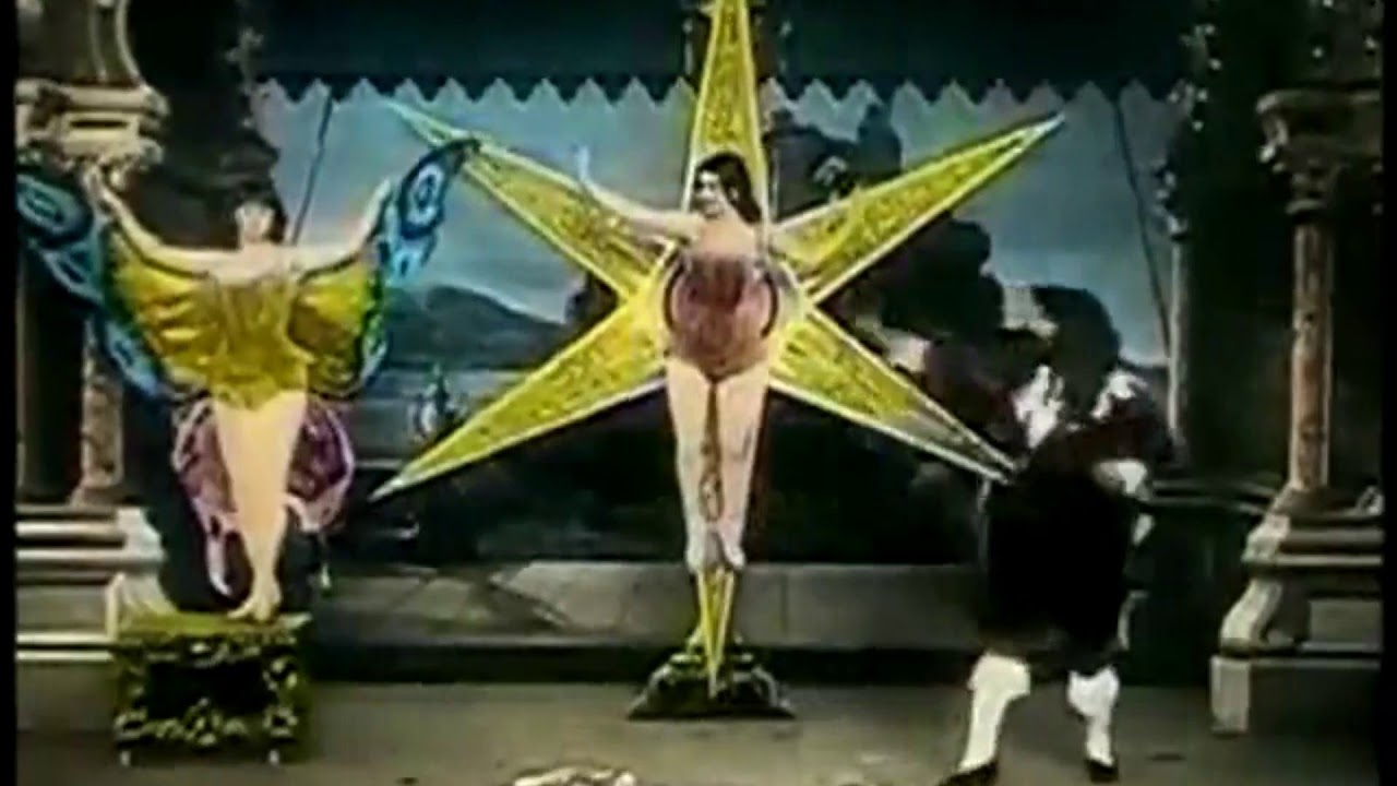 The Spider and the Butterfly