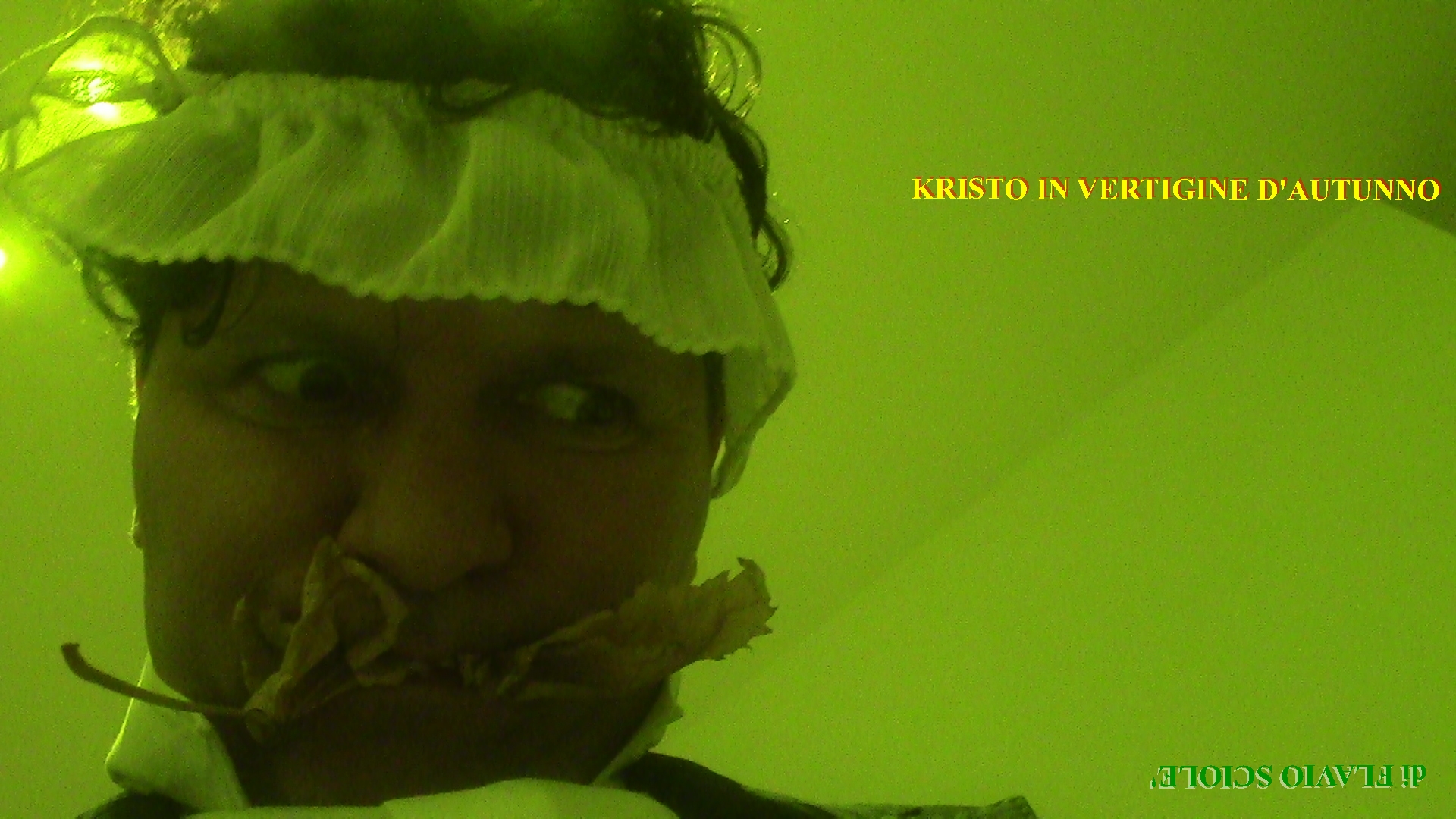 Kristo in autumn vertigo