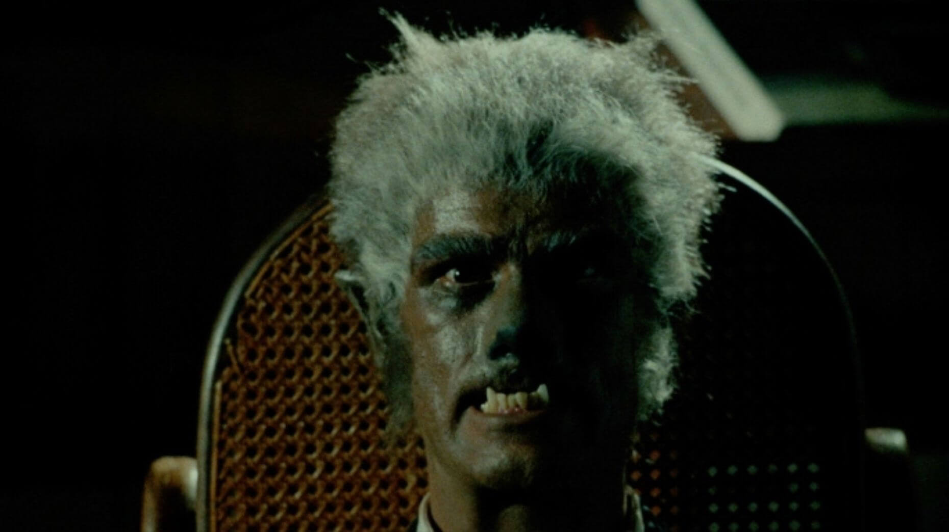 The Werewolf of Washington