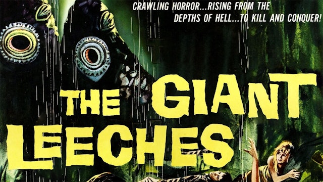 Attack of the giant leeches