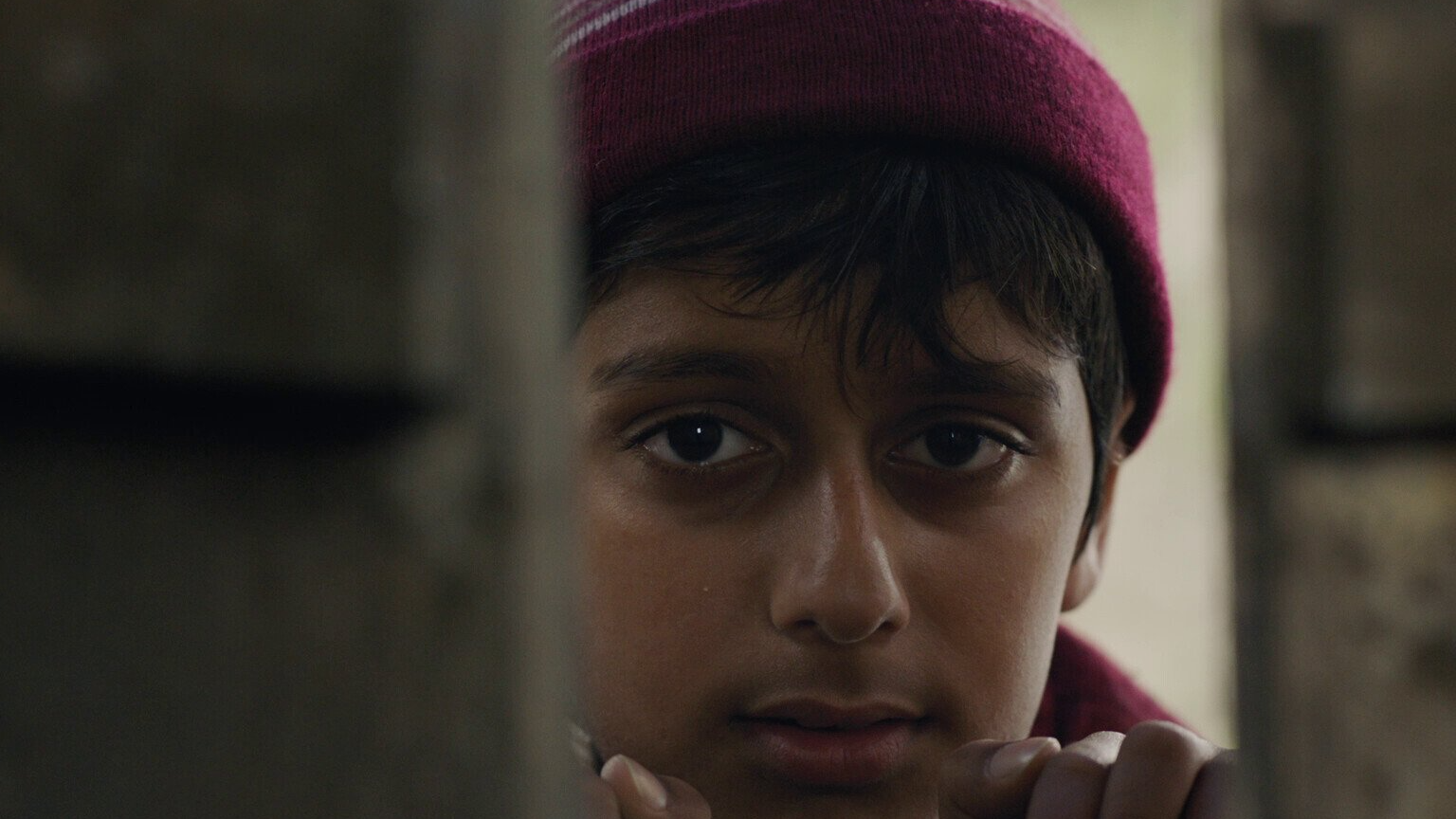 The Apple Picker's Son