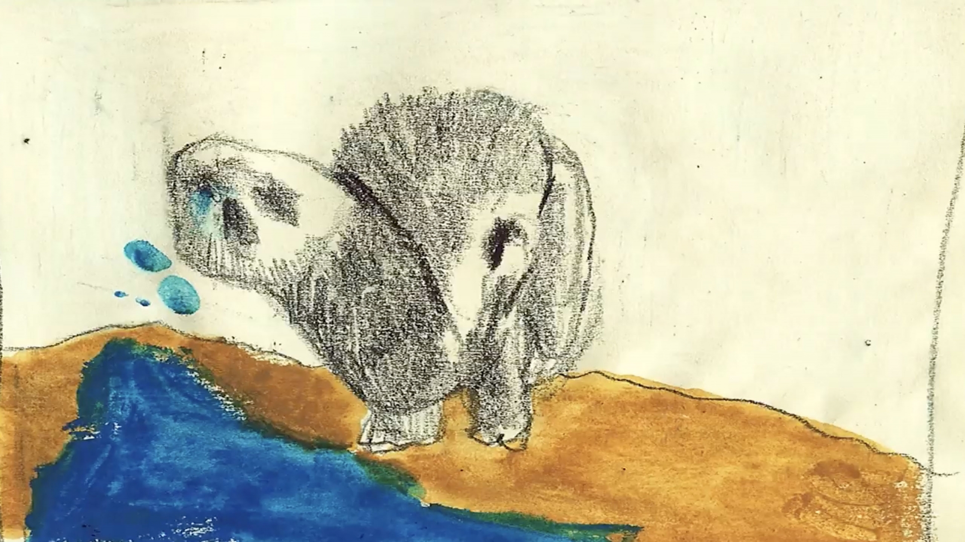 Studies: on Complexity and Differences