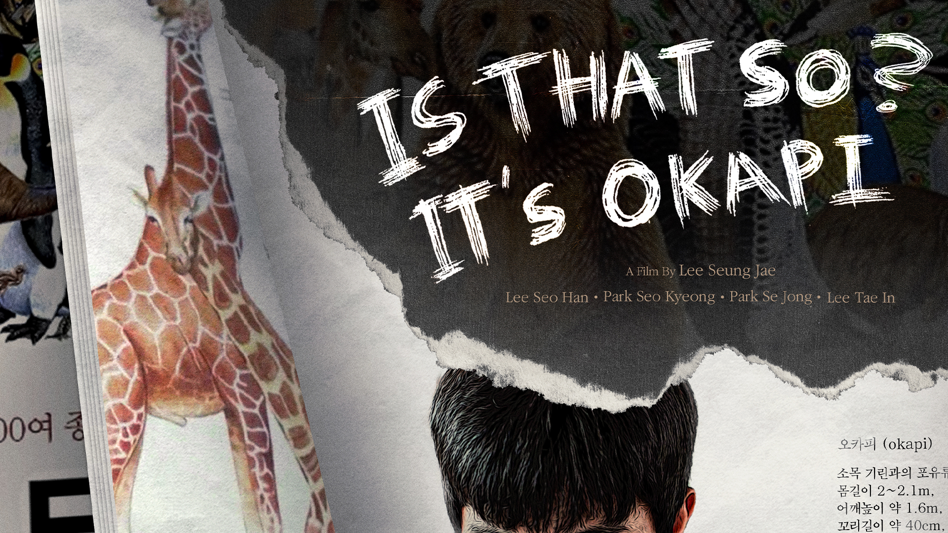 Is That So? It’s Okapi