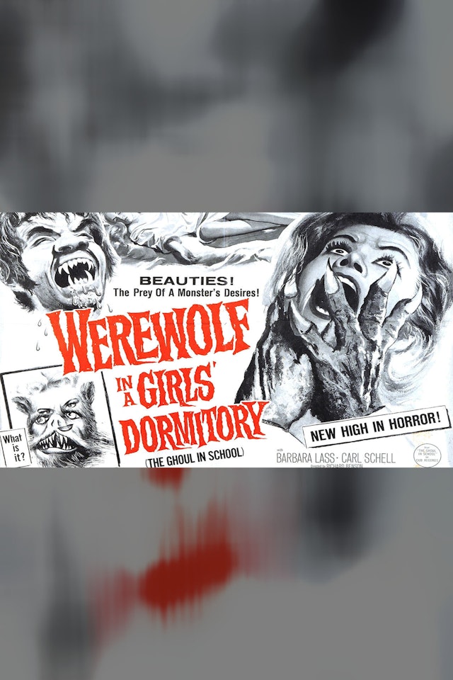 Werewolf in a Girls Dormitory