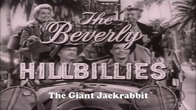 Beverly Hillbillies "The Giant Jackra...