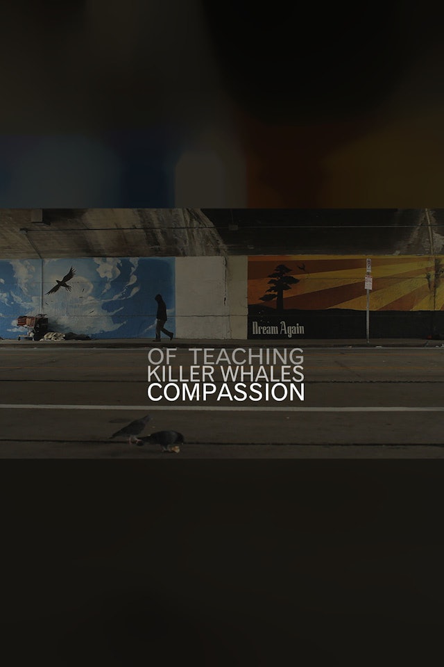 Of Teaching Killer Whales Compassion