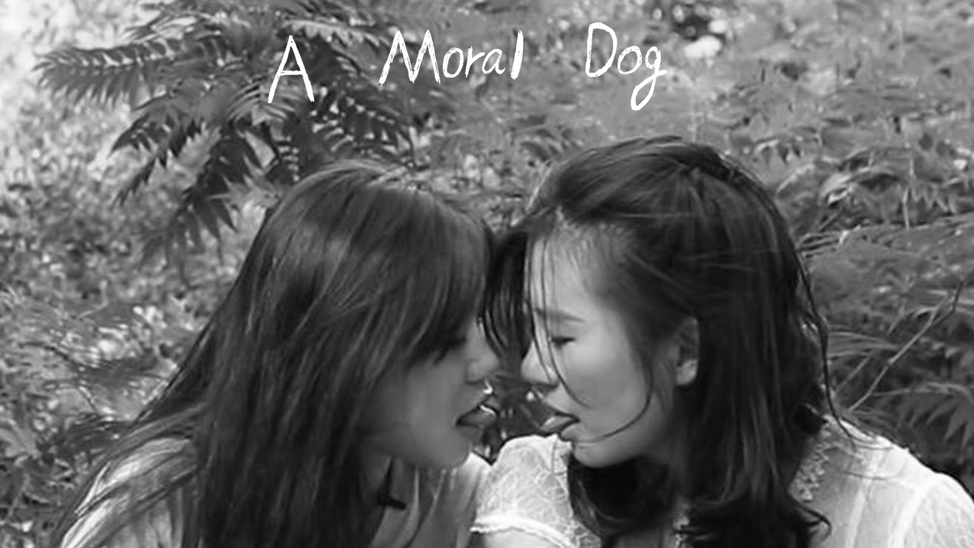 A Moral Dog