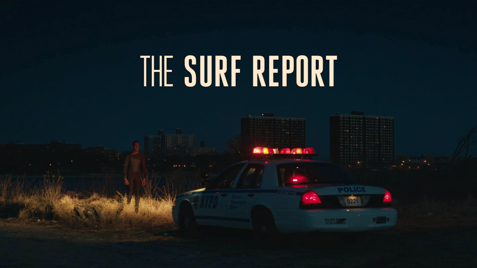 The Surf Report