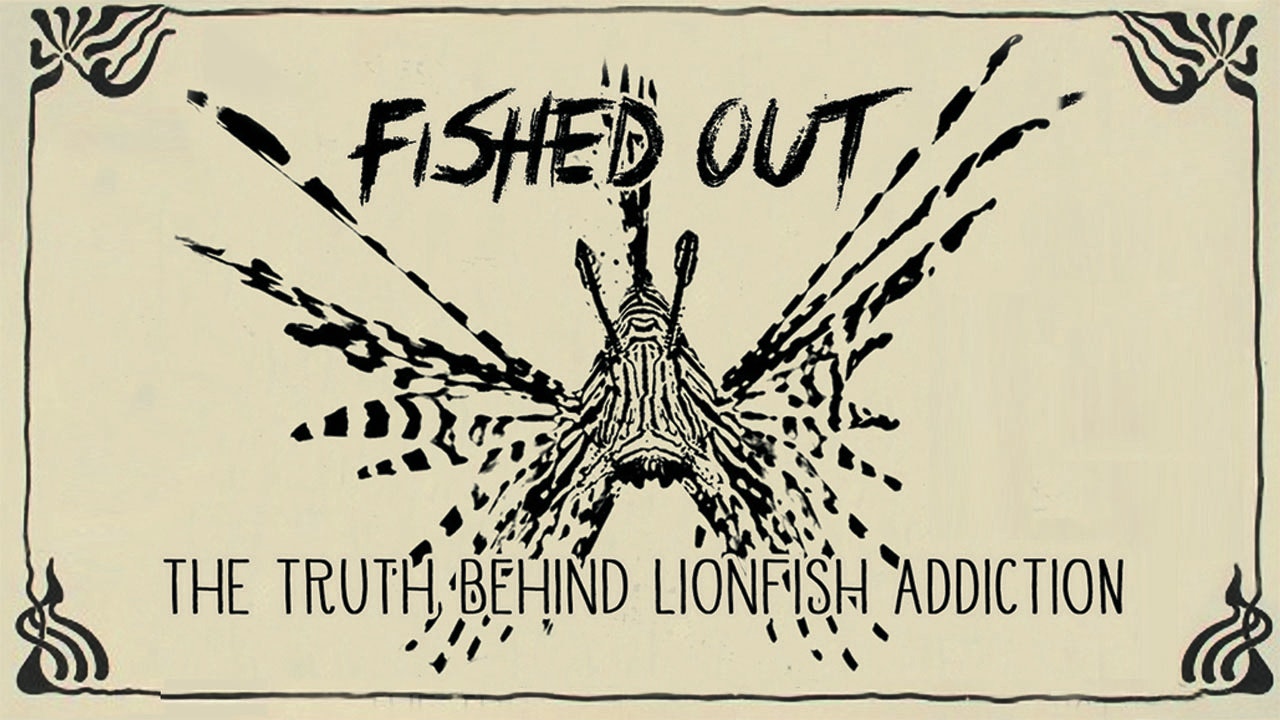 Fished Out: The Truth Behind Lion Fish Addiction