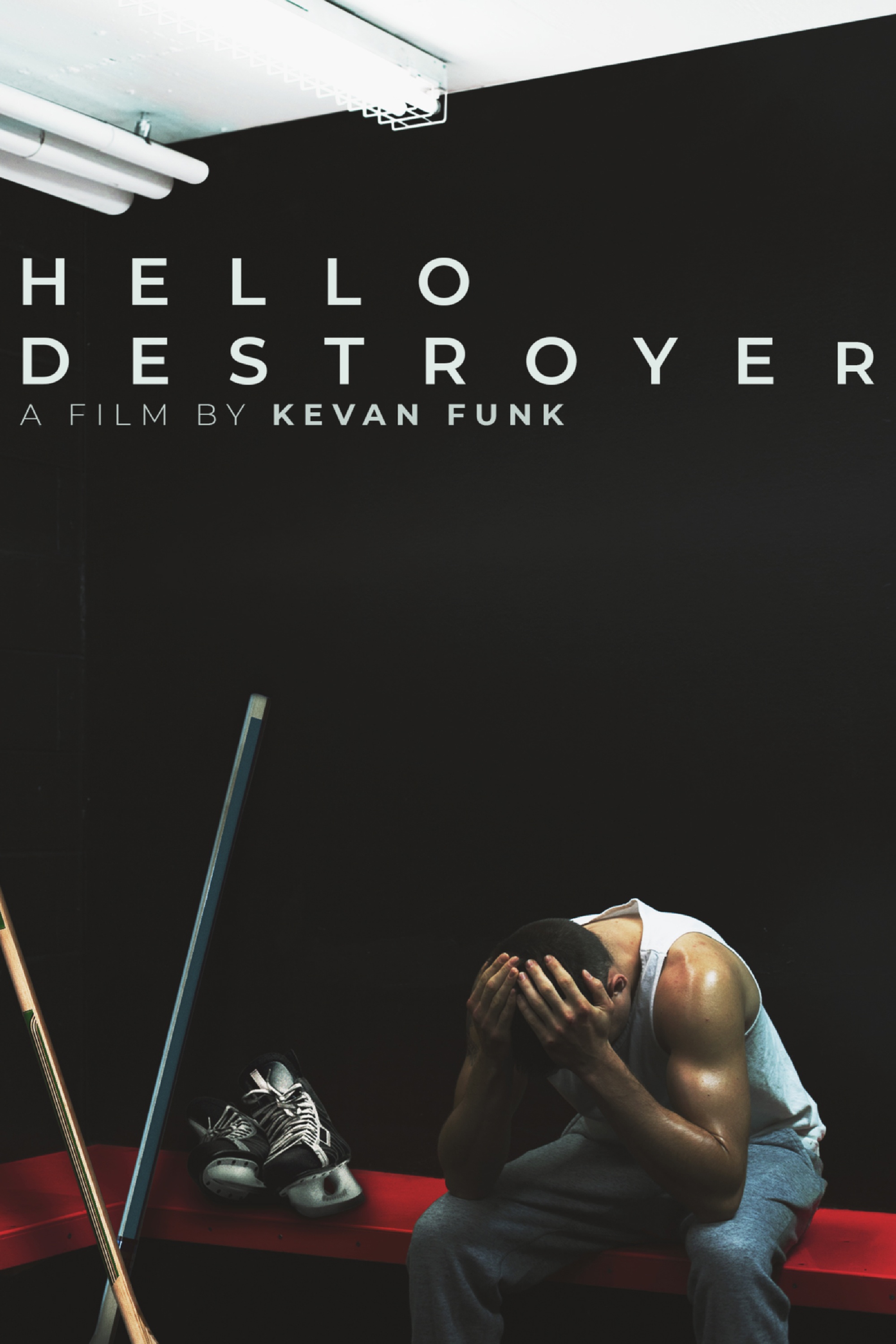 Hello Destroyer
