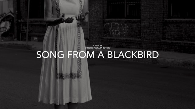Song from a Blackbird