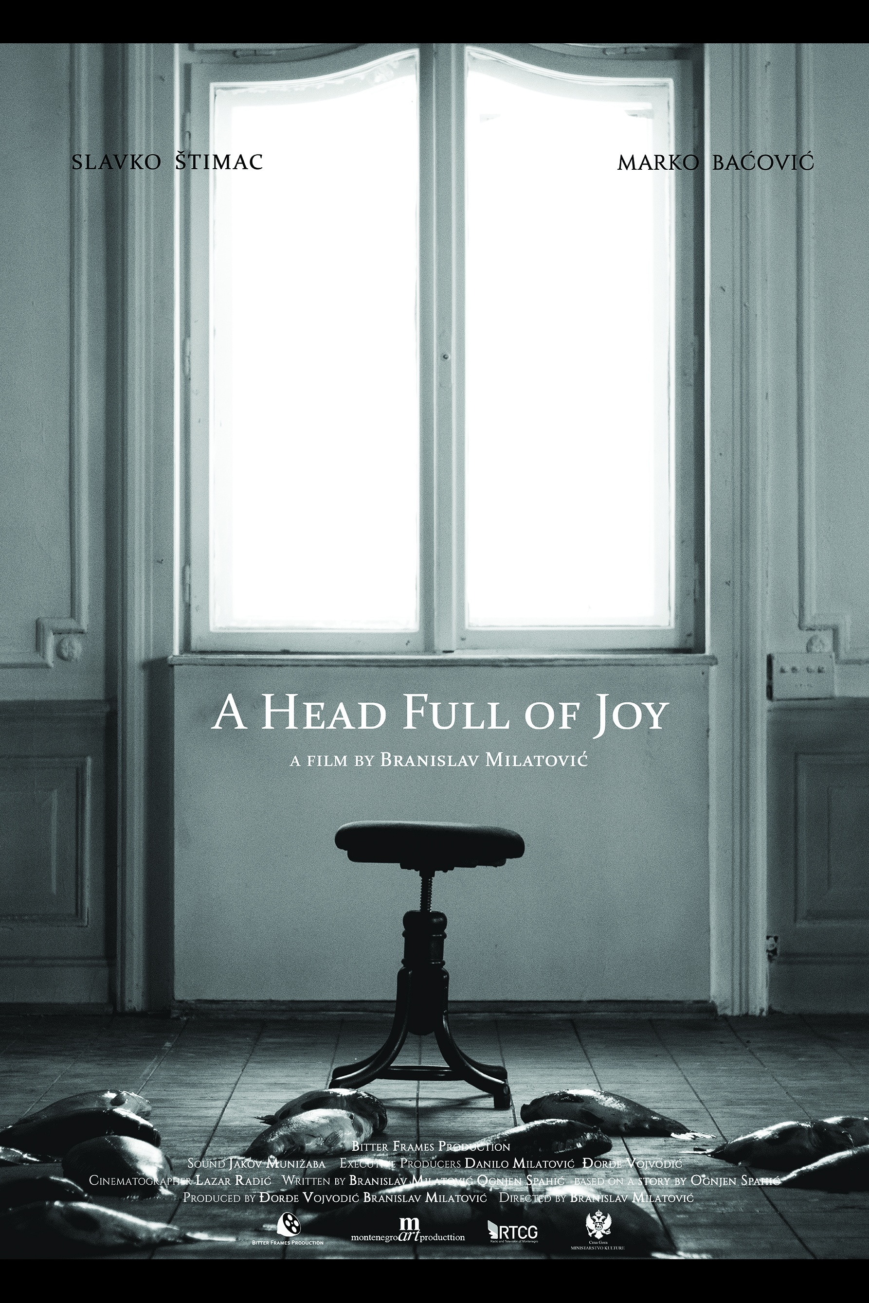 A Head Full of Joy (Puna Glava Radosti)