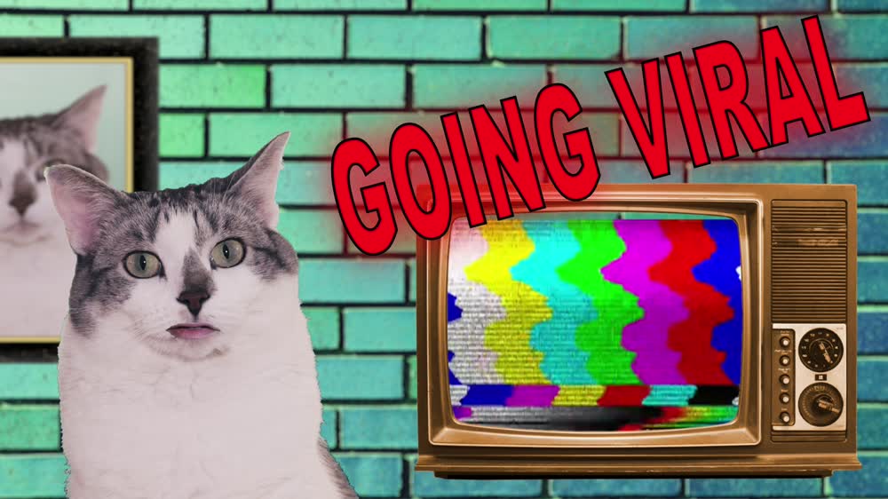 Going Viral