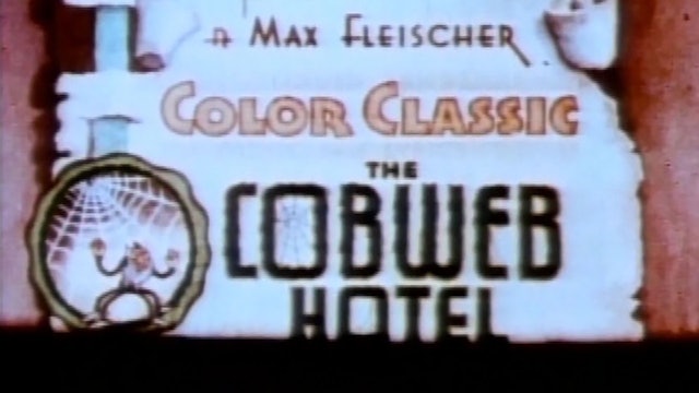 Cartoon Crazies: Cobweb Hotel