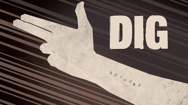 Dig