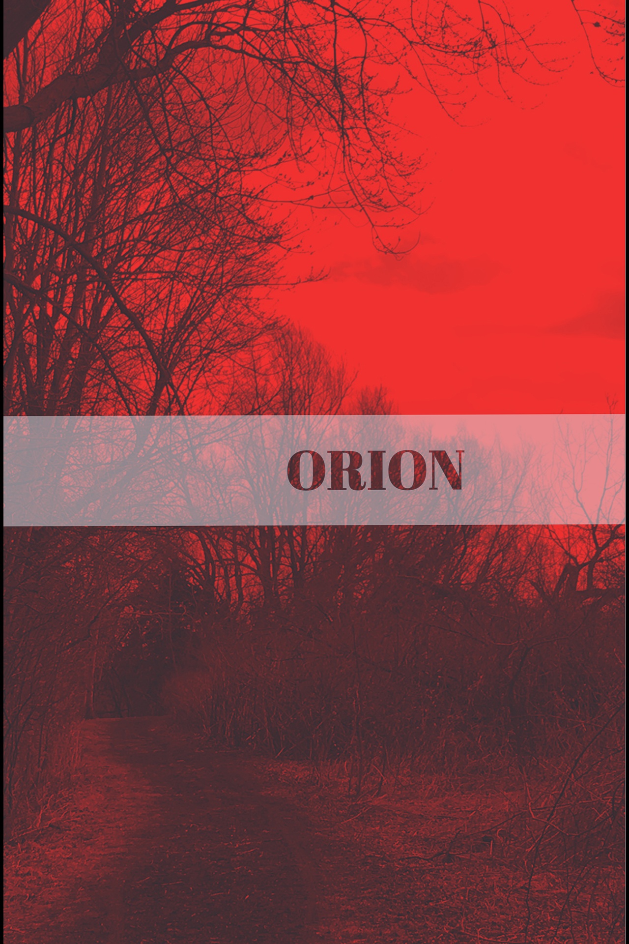 Orion