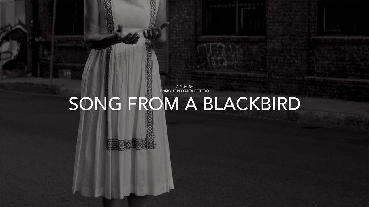 Song from a Blackbird