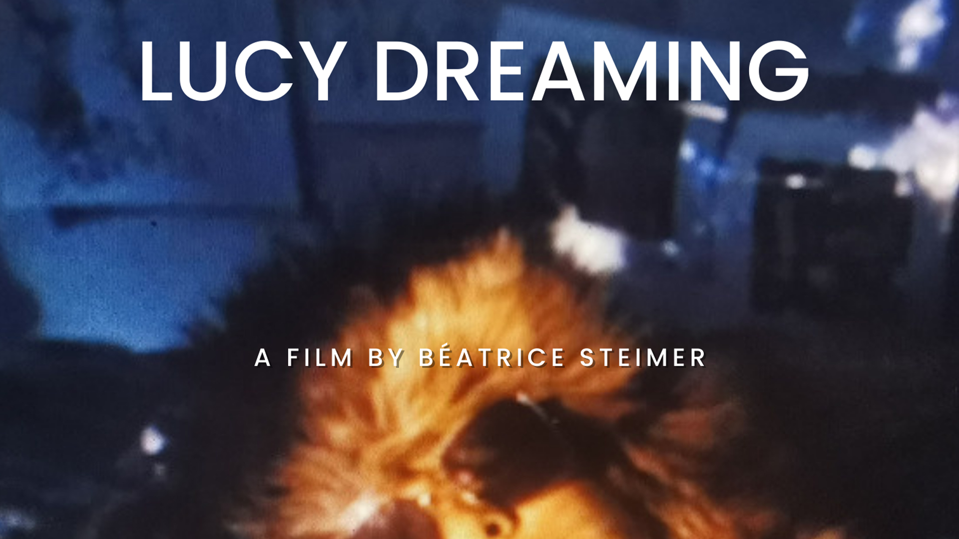 Lucy Dreaming