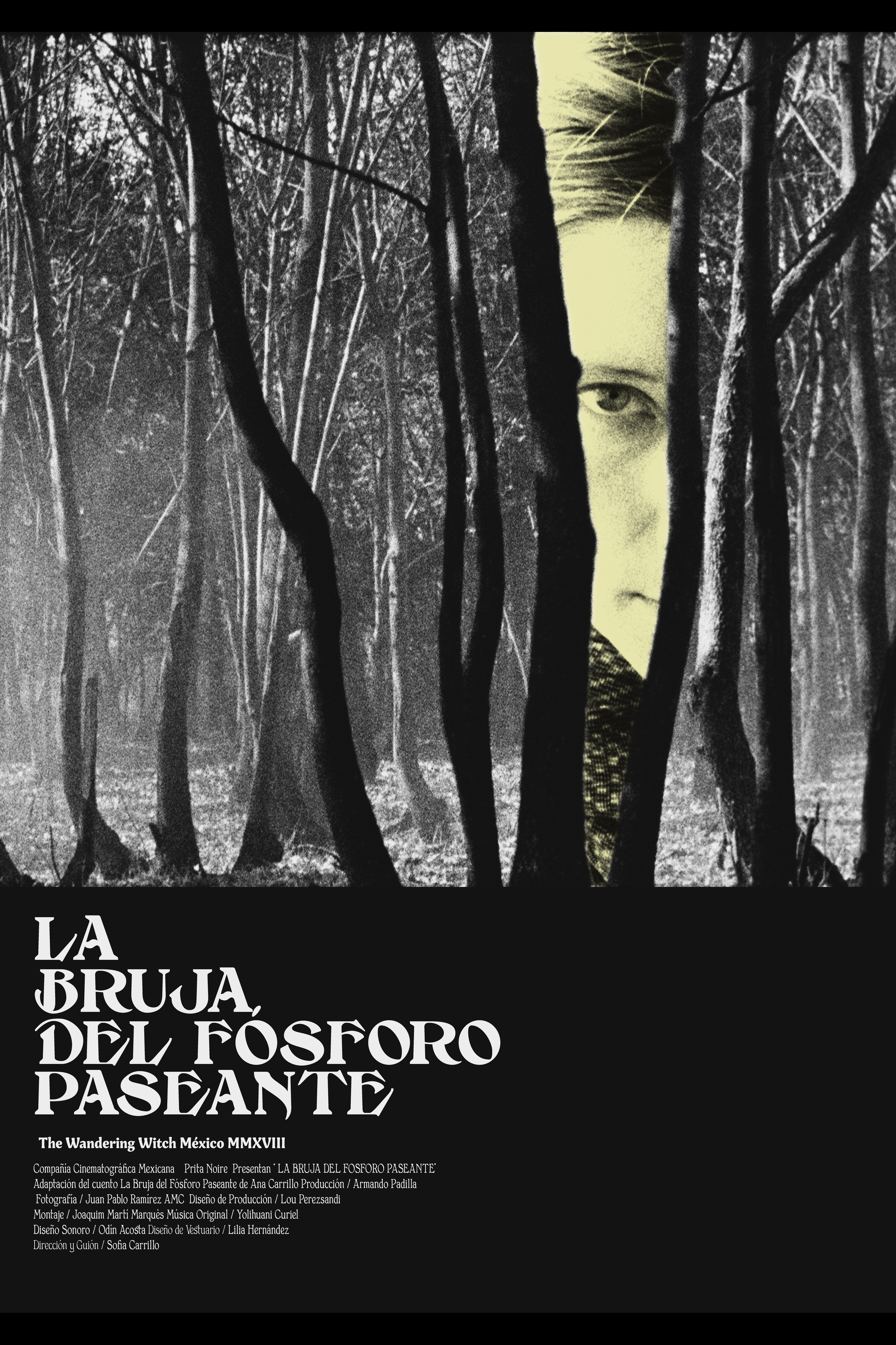 The Wandering Witch (La Bruja del Fósforo Paseante)