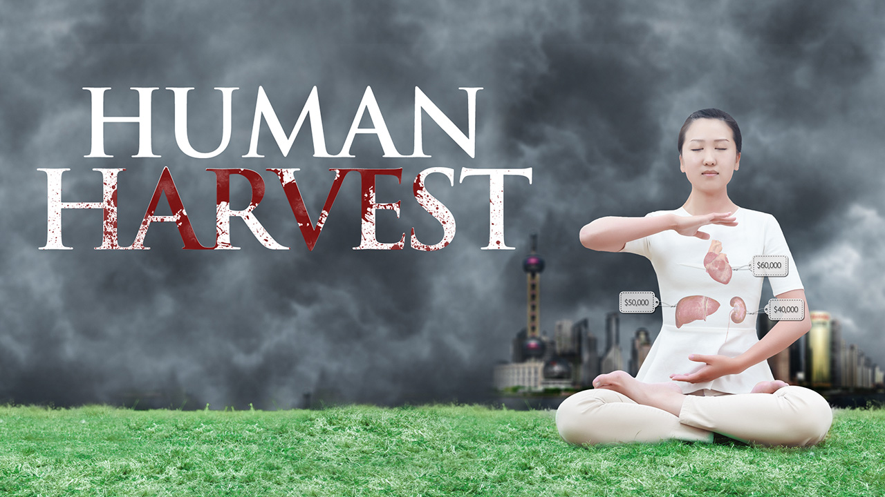 Human Harvest