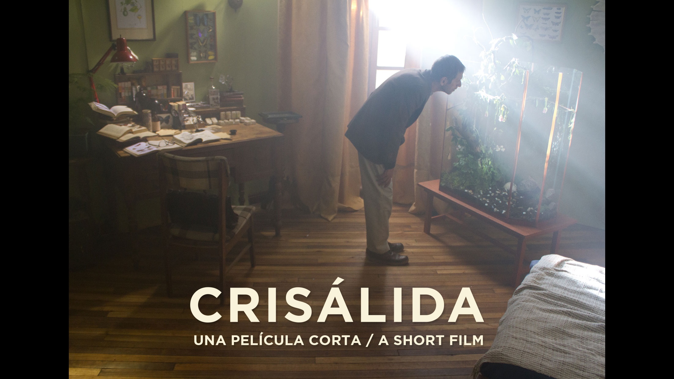 Crisálida