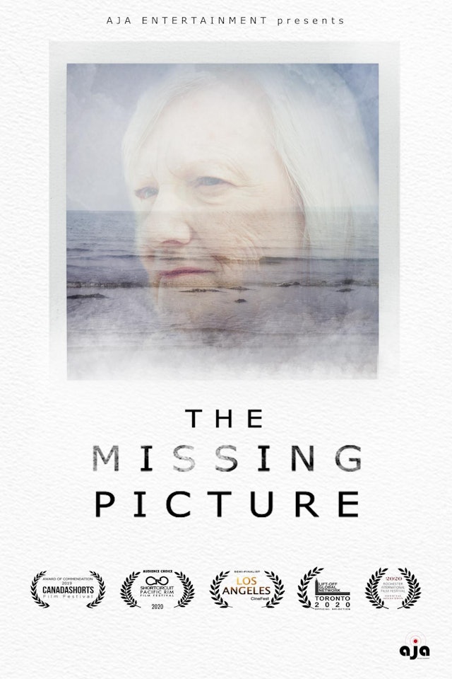 The Missing Picture
