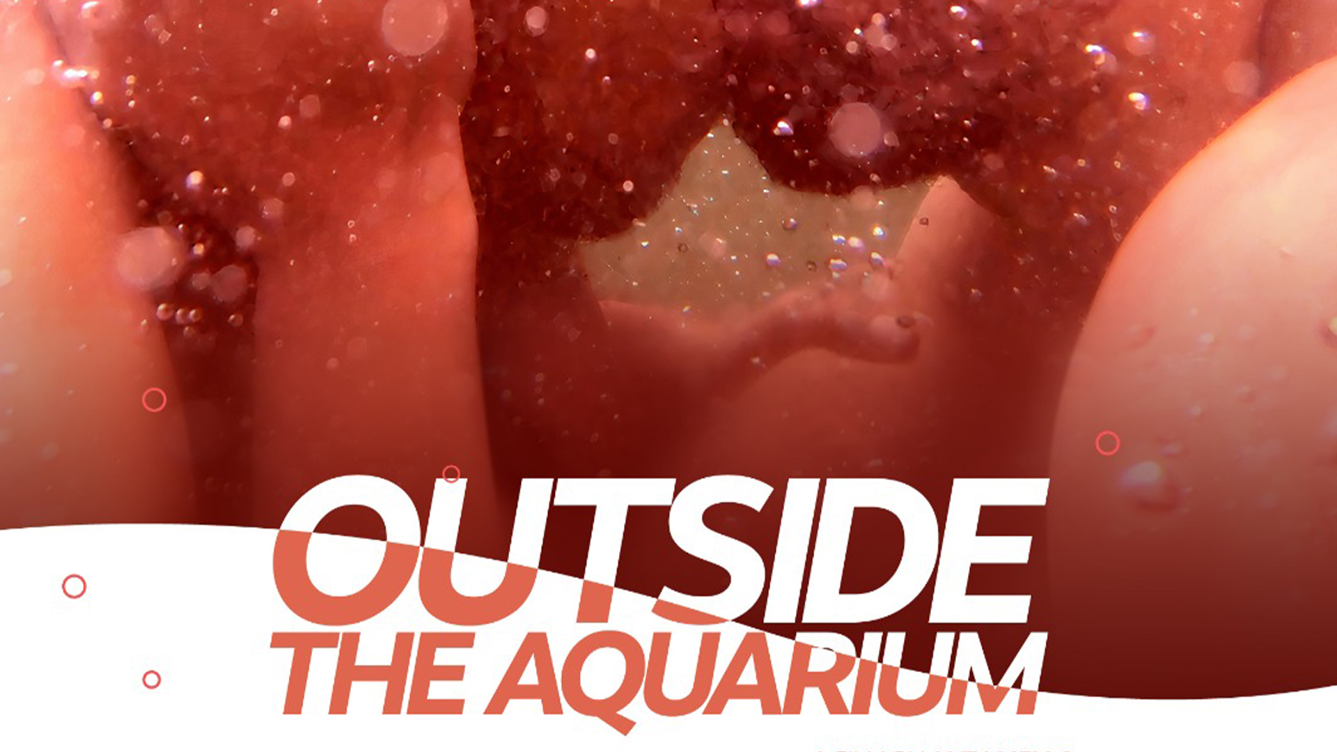 Outside the Aquarium (Außerhalb des Aquariums)