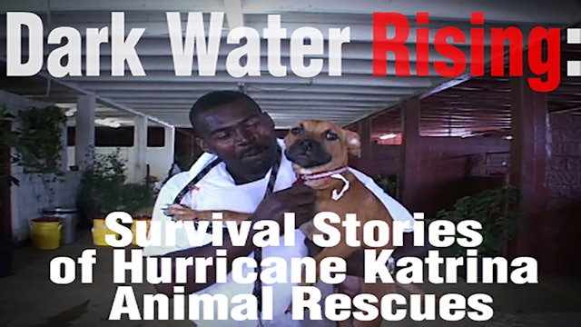 Dark Water Rising: Survival Stories of Hurricane Katrina Animal Rescues