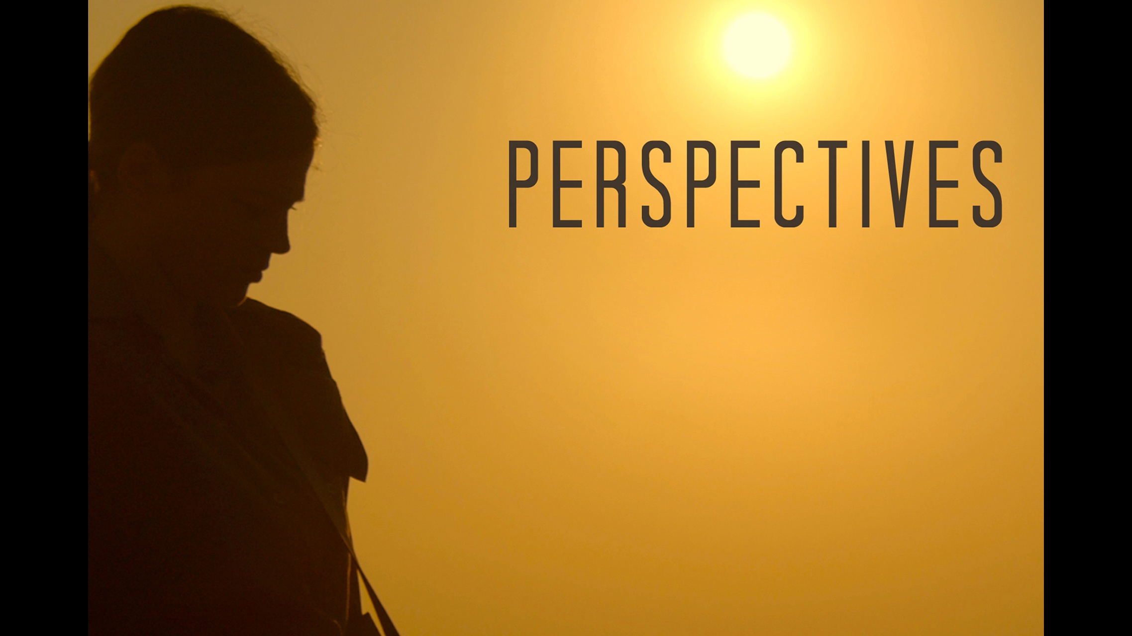 Perspectives