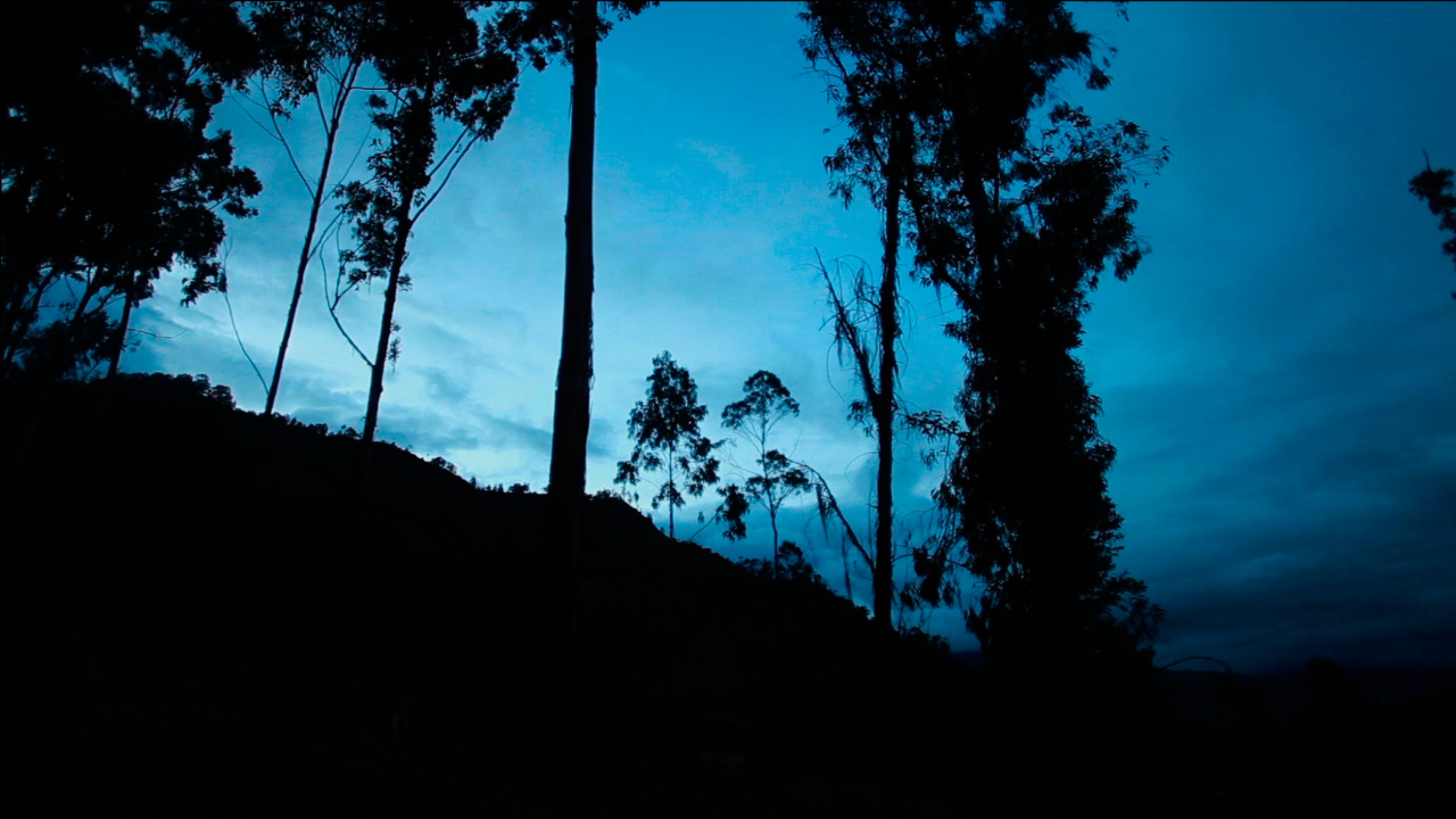 Everything Near Becomes Far