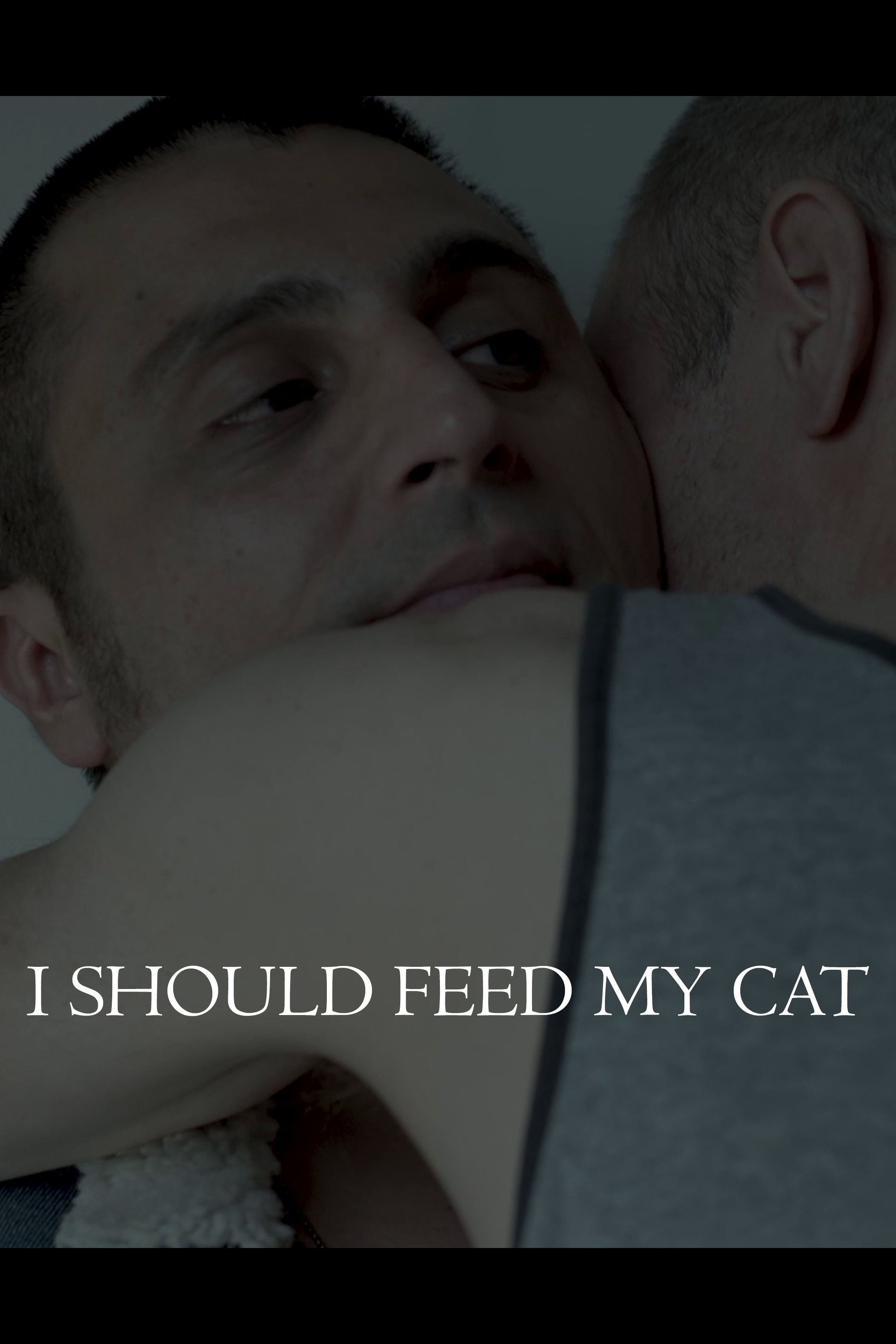I Should Feed My Cat (ET Tu Cherches Quoi de Beau Ici?)