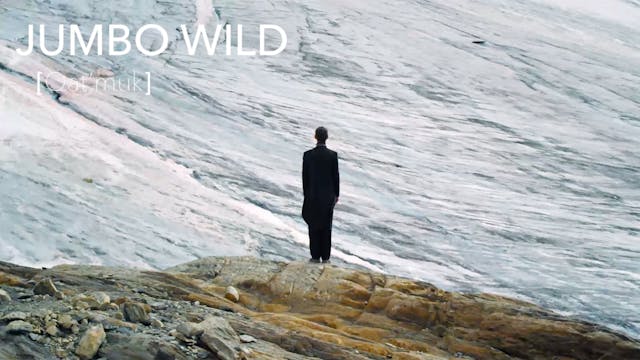 Jumbo Wild