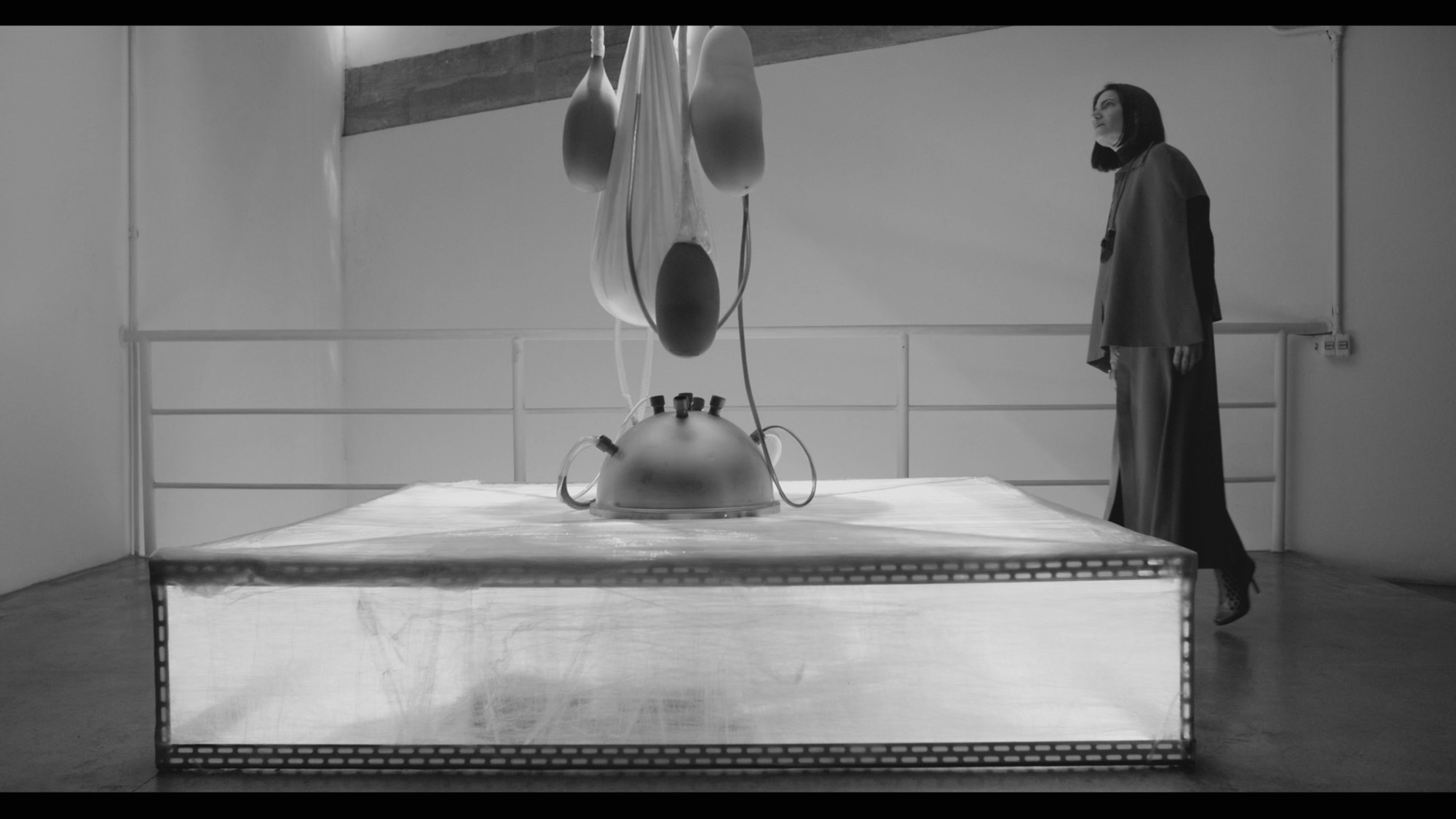 In Vitro