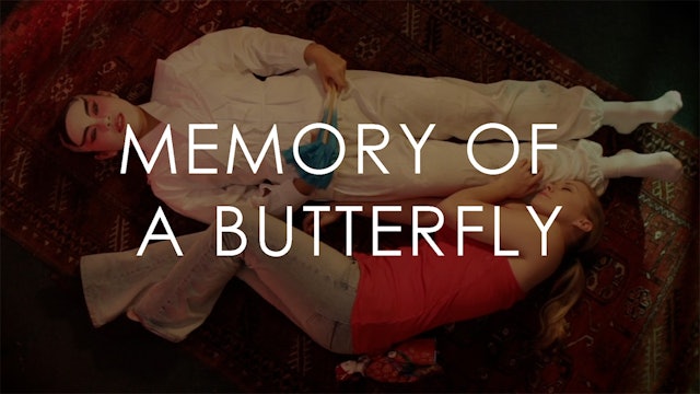 Memory of a Butterfly