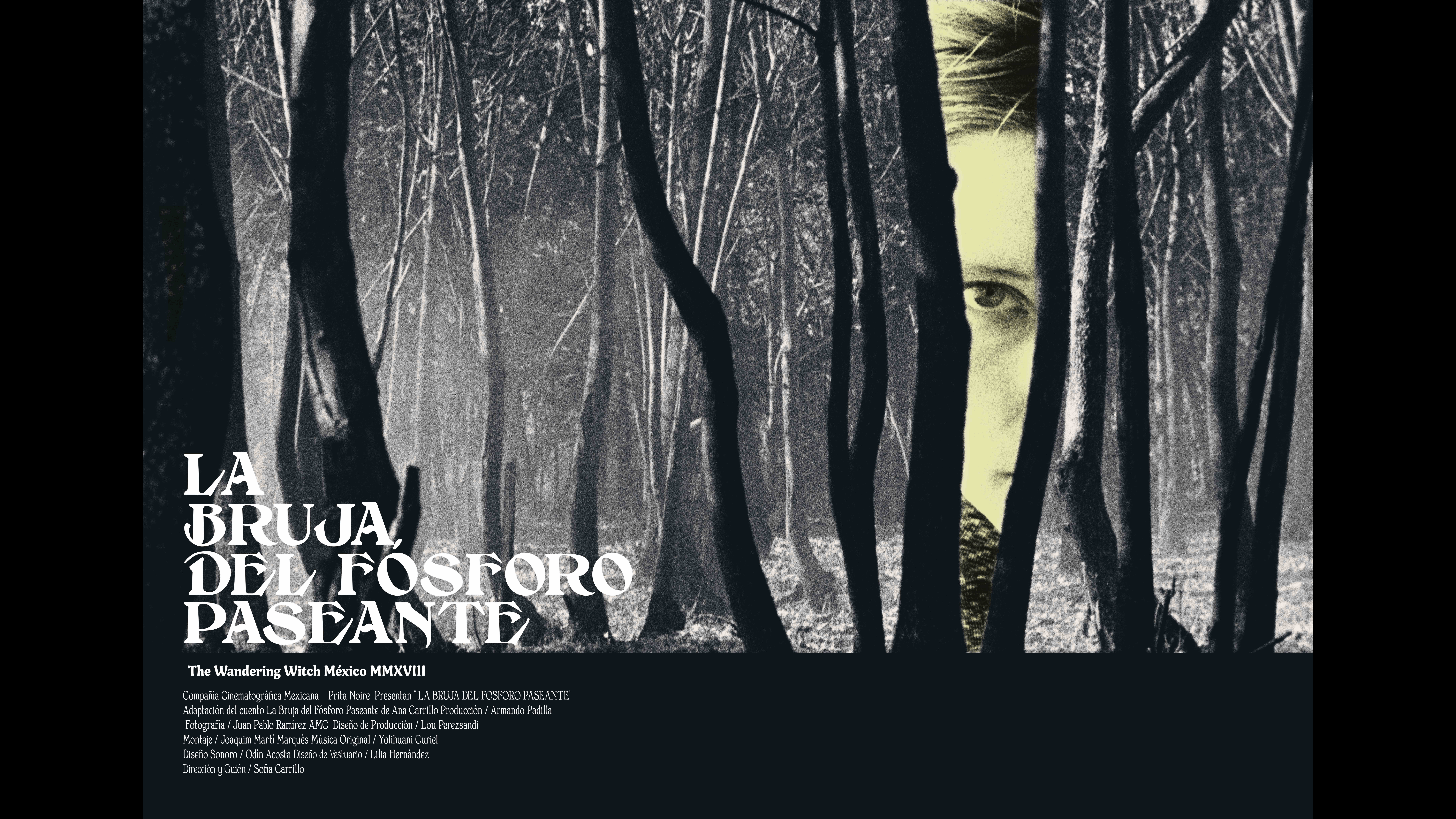 The Wandering Witch (La Bruja del Fósforo Paseante)